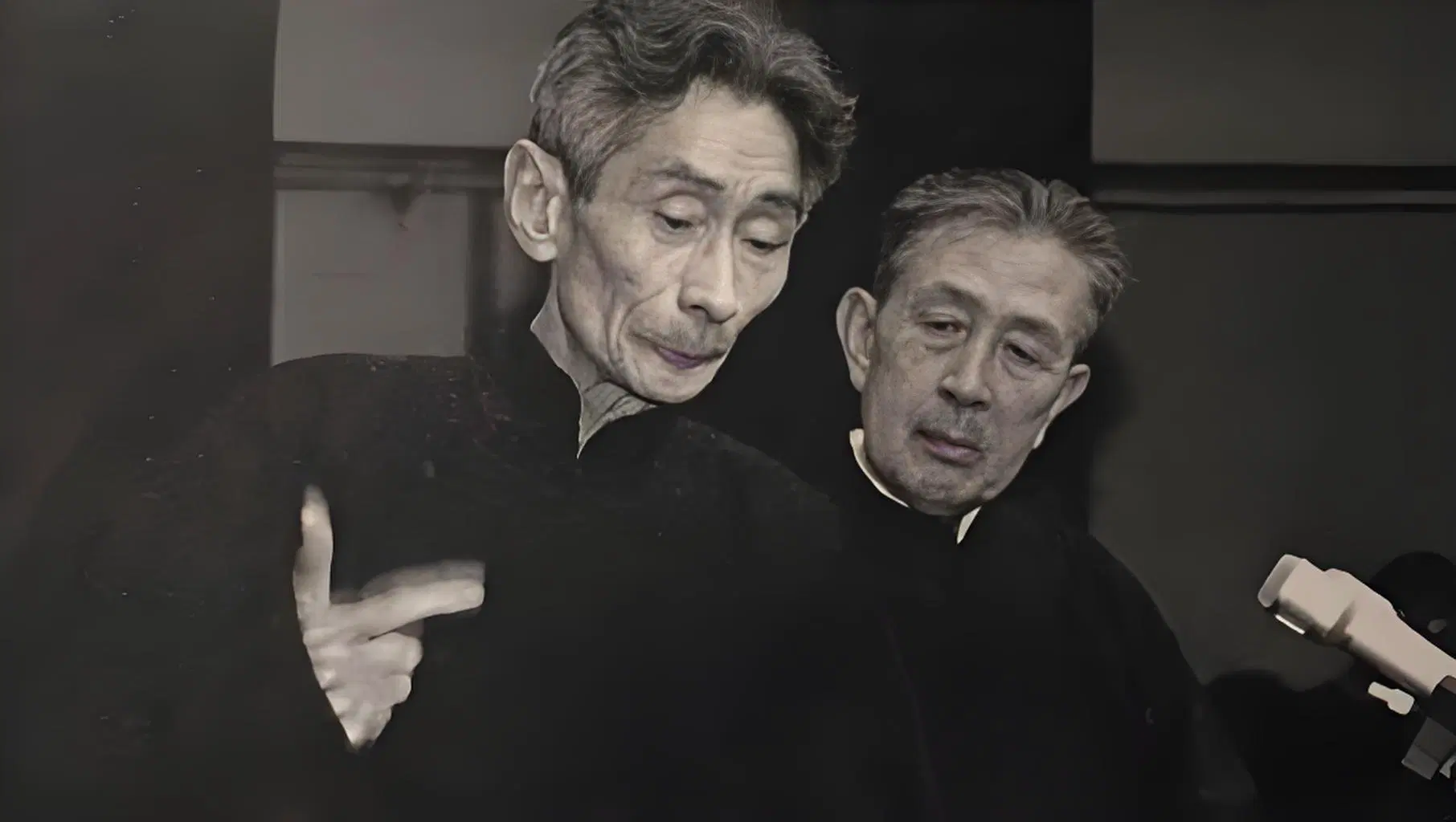 Bert-Vits2|马三立声音配音模型|AI马三立配音模型 - 万类AI-万类AI